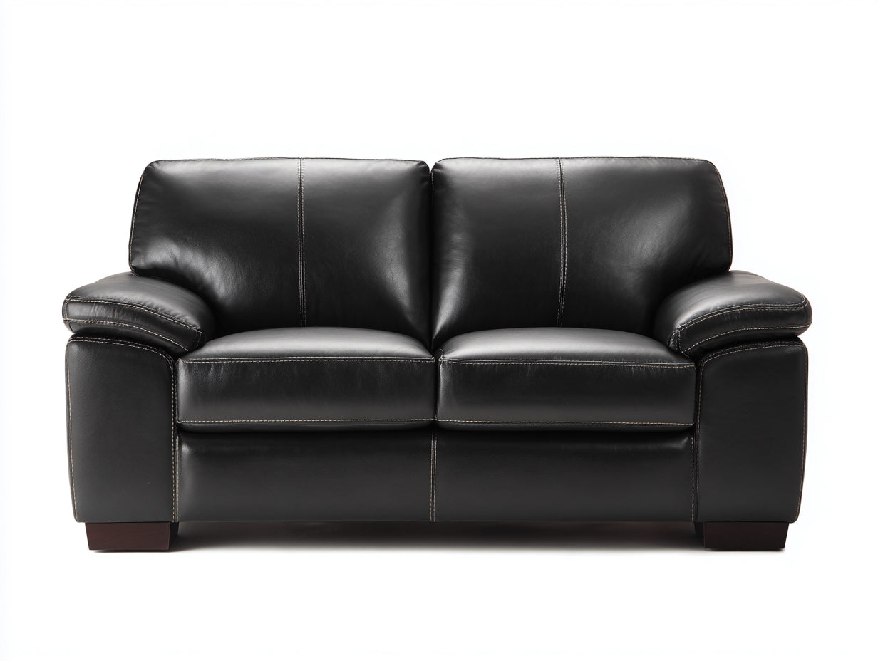 Divano a due posti - Pelle sintetica-Legno - 185x93x86 cm - Nero - Stile contemporaneo imbottito